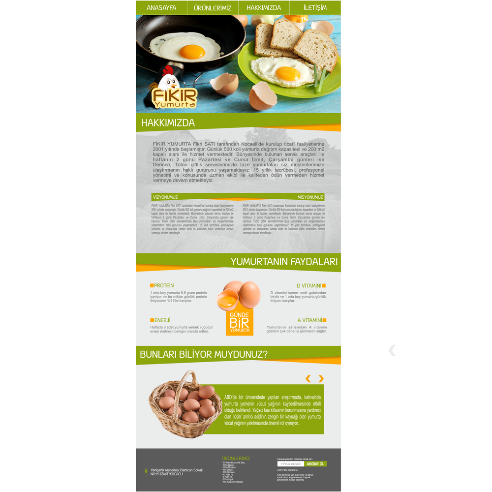 YUMURTA FİRMAMIZA WEB TASARIM