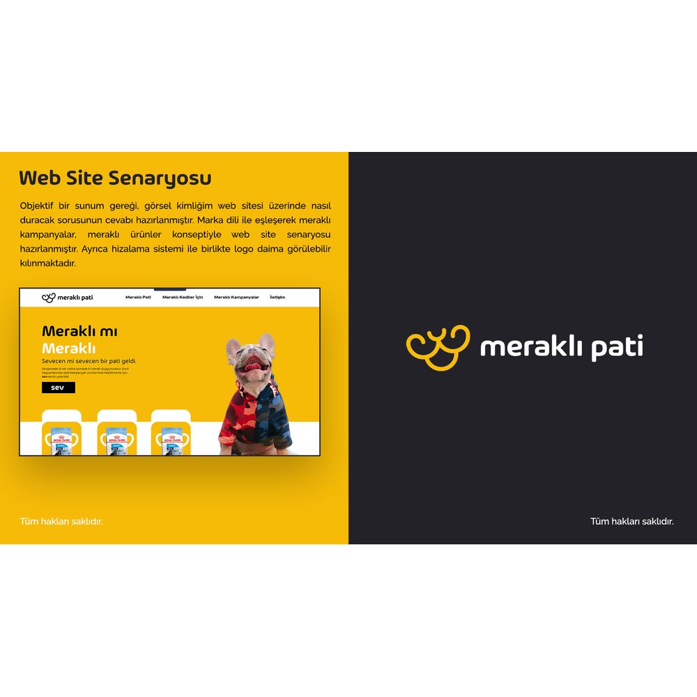 Meraklı Pati